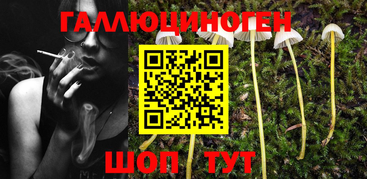 что такое наркотик  Псилоцибиновые грибы MAGIC MUSHROOMS  Вход с VPN  Киржач 