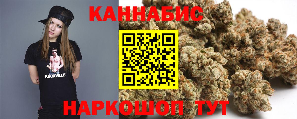 Каннабис сатива Киржач